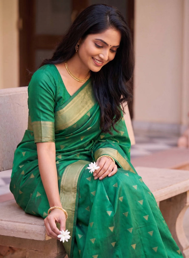 DE Collection Saree