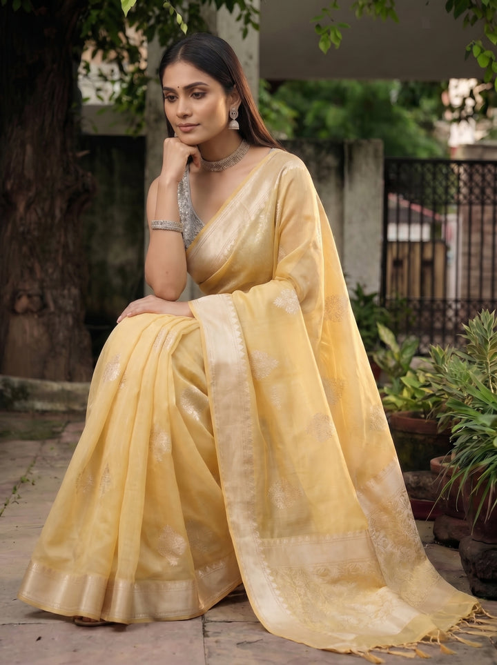 Vintage Saree