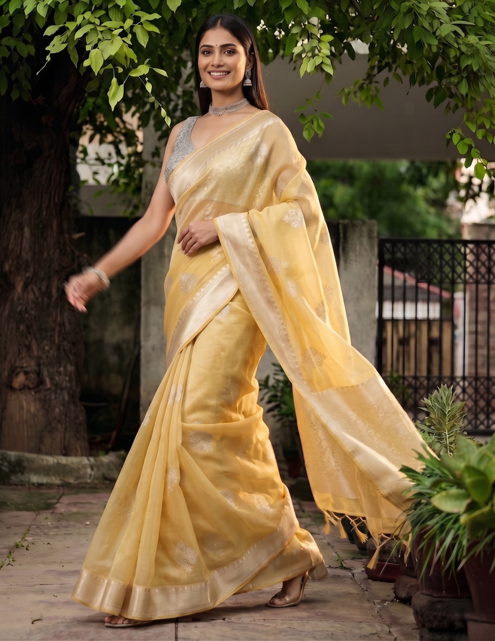 Vintage Saree