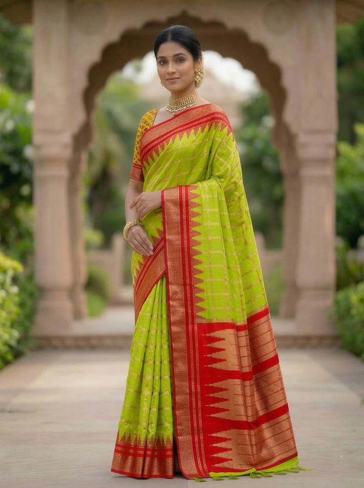TISSUE KATPADAR SAREE D-3292