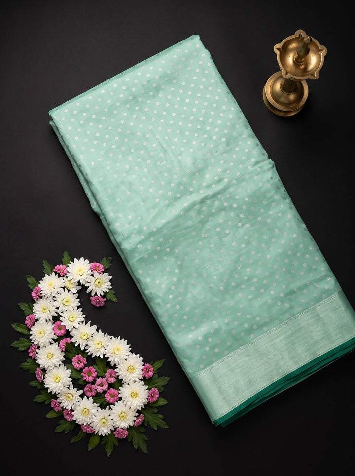 SHAKEY EMBROIDERED Light GREEN SAREE
